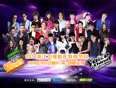 浙江衛視2014新年特別節目(2014)海報