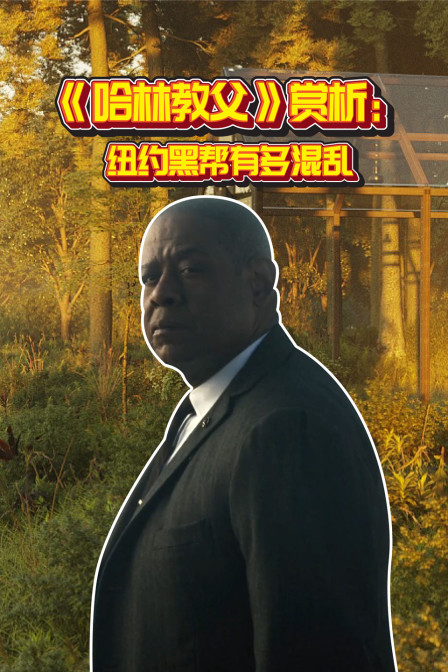 《哈林教父》解析:纽约黑帮有多混乱(2023)海报