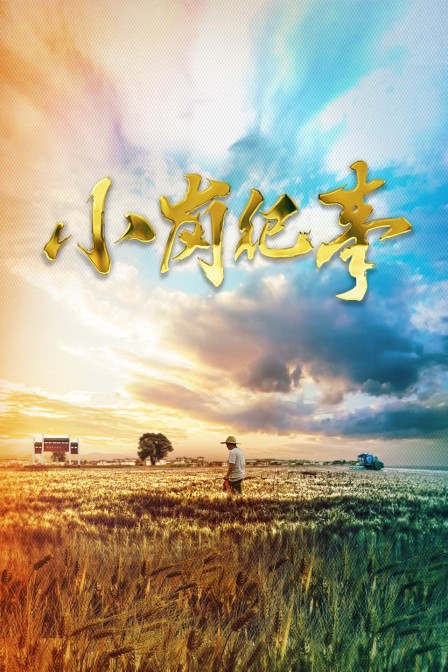 小岗纪事(2018)海报