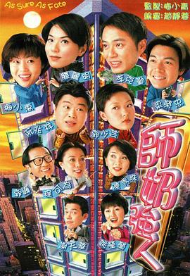 师奶强人粤语(1998)海报