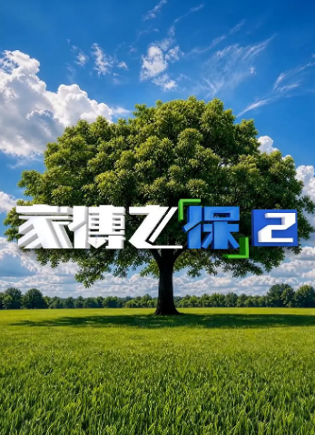 家传之“保”2(2026)海报