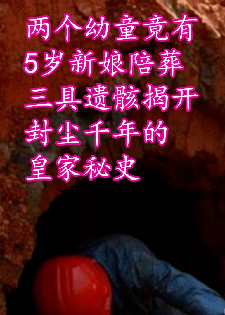 中国史:临沂挖出幼童墓海报