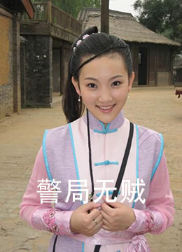 警局无贼(2011)海报