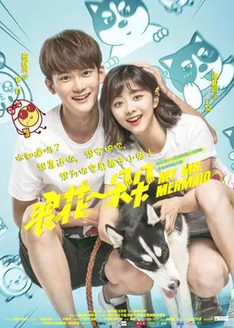 浪花一朵朵DVD版(2017)海報