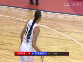 WCBA總決賽 東莞新彤盛VS四川蜀道遠達女子籃球隊 20250413海報