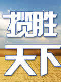 揽胜天下(2010)海报