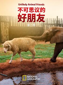 不可思议的好朋友第二季(2012)海报