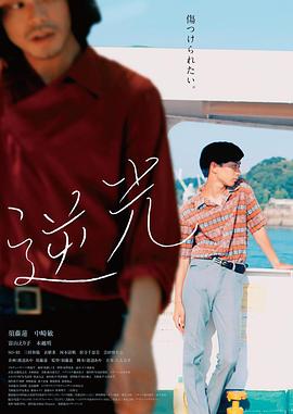 逆光2021(2021)海報