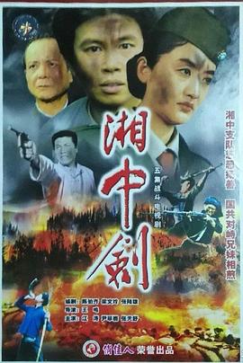 湘中劍(1993)海報