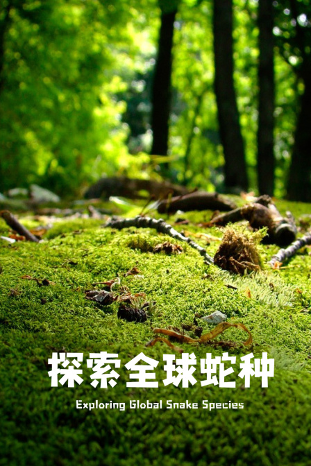 探索全球蛇種(2024)海報