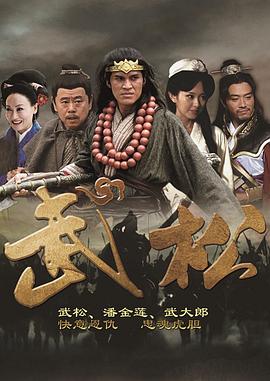 武松2013(2013)海报