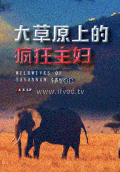 大草原上的疯狂主妇(2020)海报