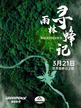 雨林寻蜂记(2021)海报
