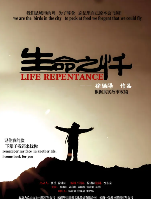 生命之懺(2013)海報