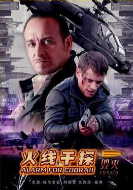 火线干探之毁灭(2016)海报