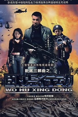 卧虎行动(2007)海报