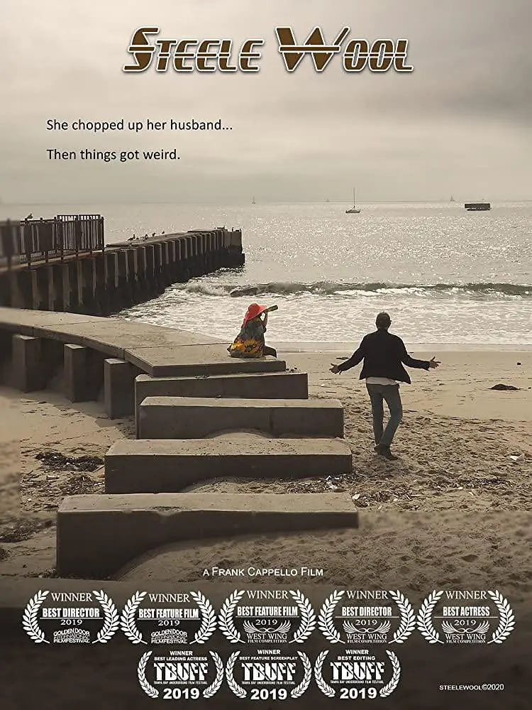 斯蒂爾·沃爾(2019)海報