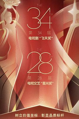 第34届电视剧飞天奖第28届电视文艺星光奖颁奖典礼(2024)海报
