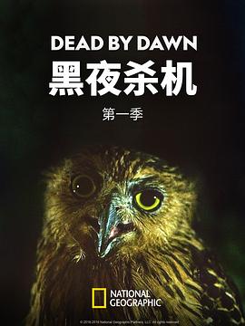 黑夜殺機第一季(2018)海報