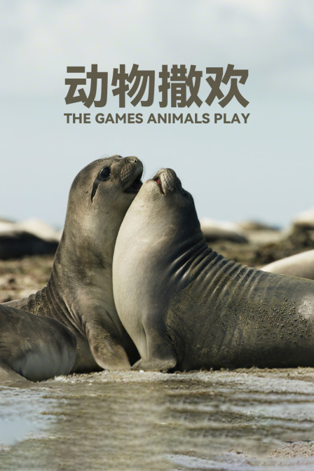 動物撒歡(2025)海報