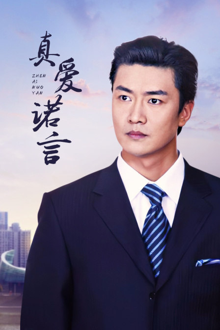 真爱诺言(2014)海报