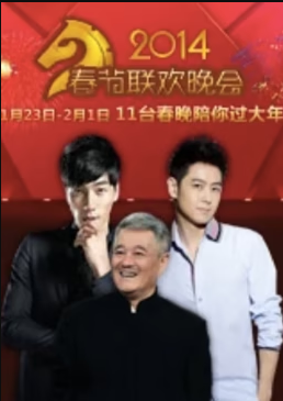 历年卫视春晚(2011)海报