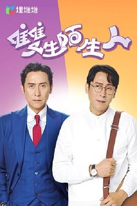 雙生陌生人 普通話版(2022)海報
