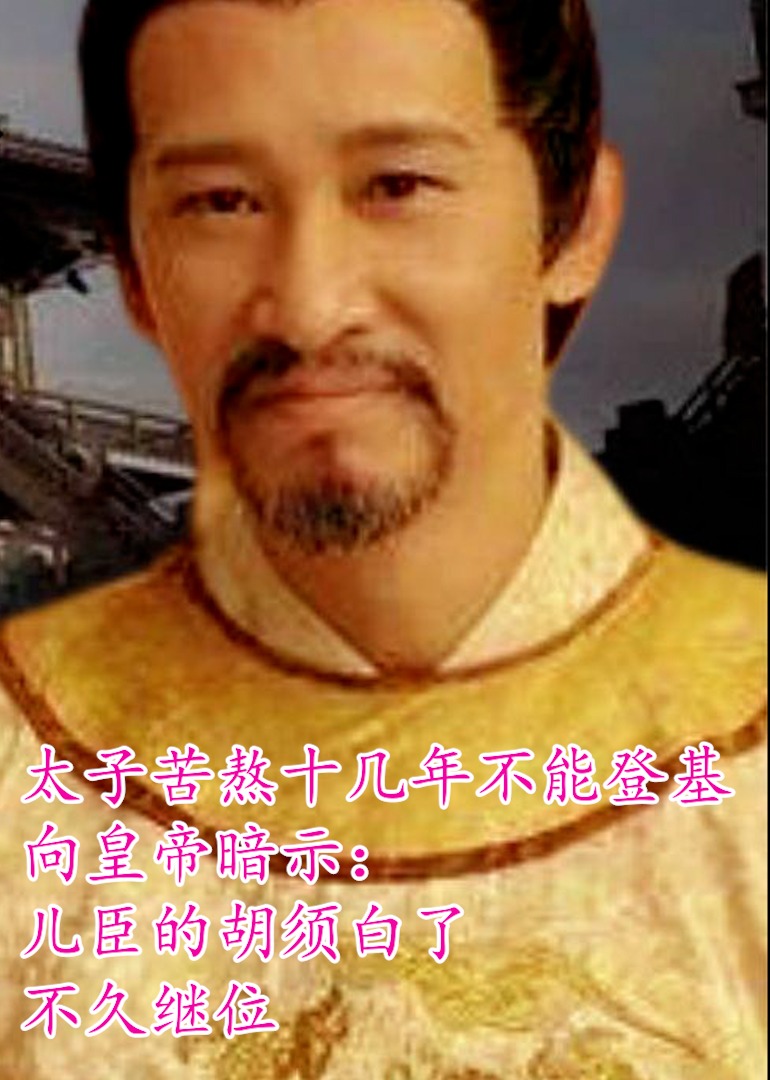 宋朝最窩囊的皇帝之一海報