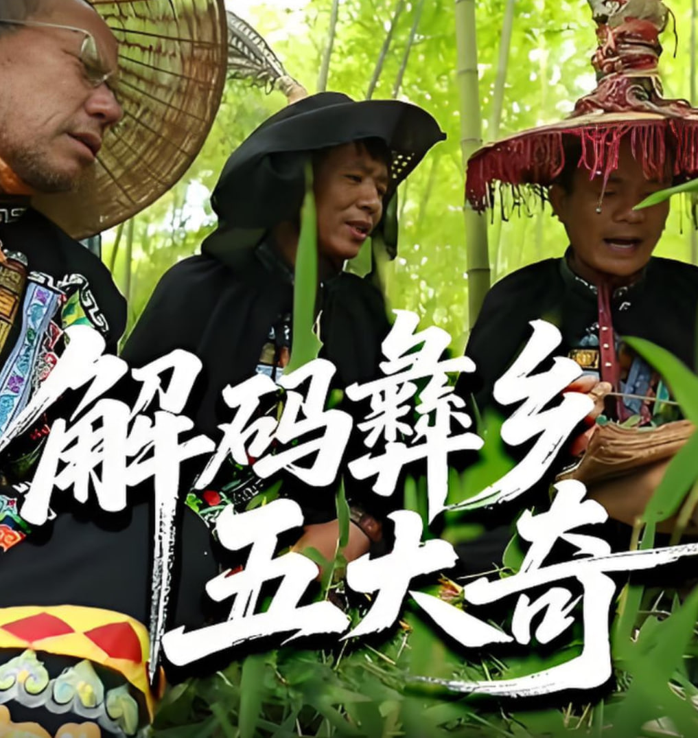 解码彝乡五大奇(2025)海报