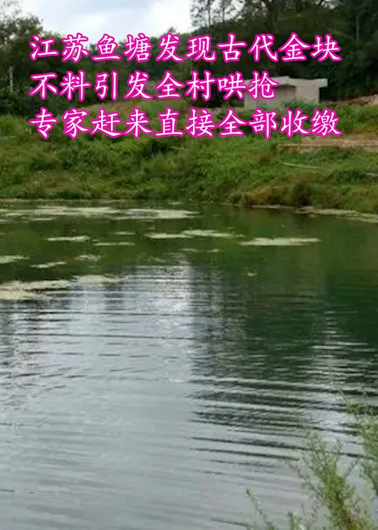 历史探秘-鱼塘藏宝之谜海报