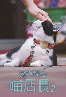 他和她的喵店長2(2024)海報