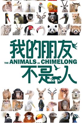 我的朋友不是人(2017)海報