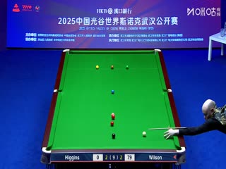 2025斯諾克武漢公開賽四分之一決賽 加里·威爾遜5-3約翰·希金斯 20250828海報