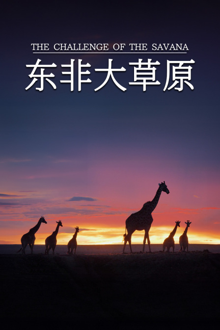 东非大草原(2024)海报