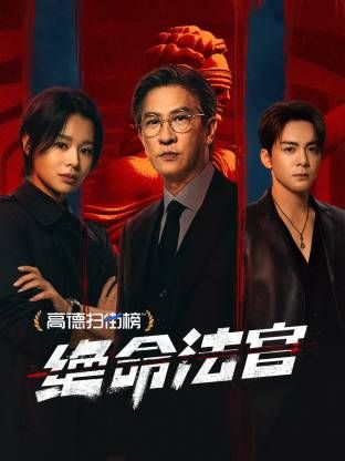 绝命法官 粤语版(2025)海报
