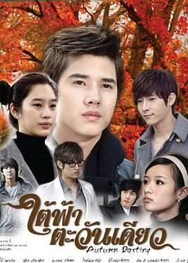 秋天的命運(2010)海報