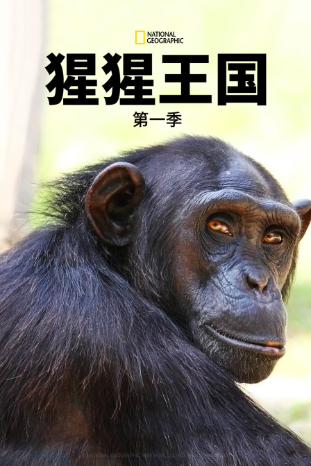 猩猩王國第一季海報