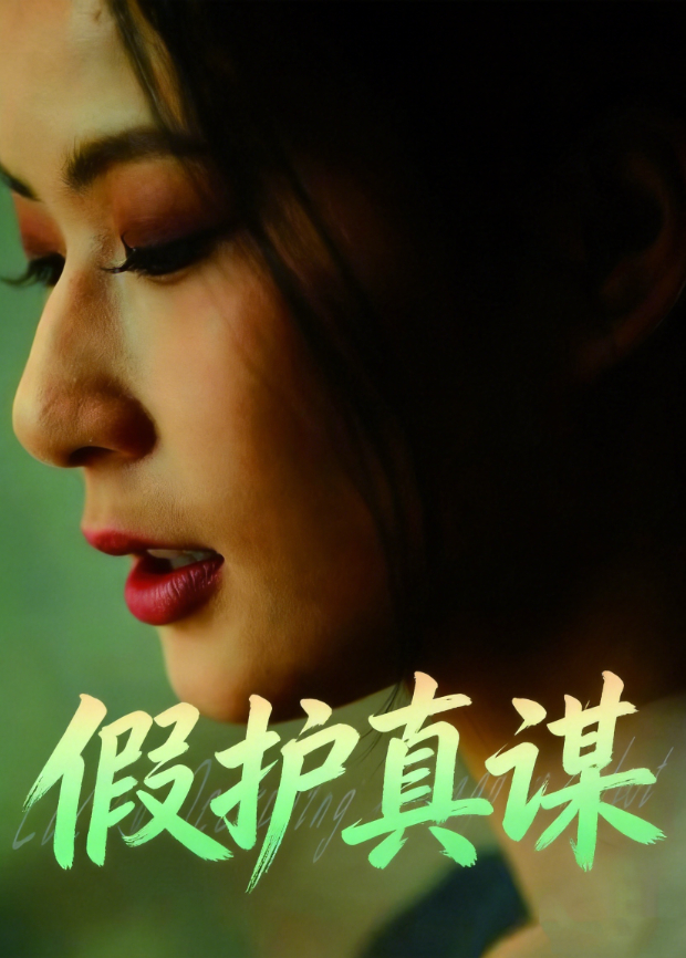 假护真谋海报