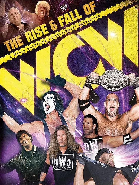 WCW沉浮錄 WWE 2009(2009)海報