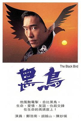 黑鸟粤语(1995)海报
