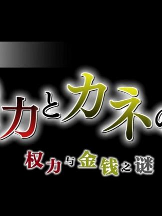 朝鮮權力與金錢之謎(2014)海報