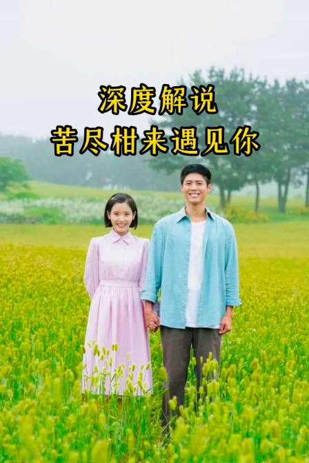 深度解說苦盡柑來遇見你(2026)海報