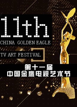 第十一屆中國金鷹電視藝術節 頒獎晚會(2016)海報