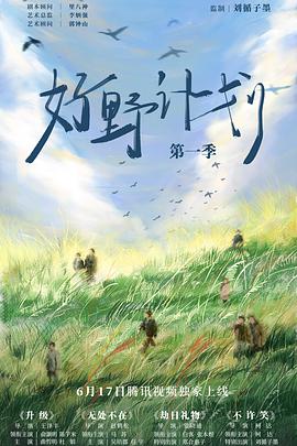 好野计划第一季(2024)海报
