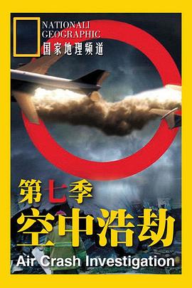 空中浩劫第七季(1985)海报