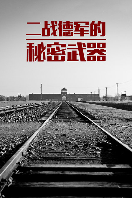 二战德军的秘密武器(2019)海报
