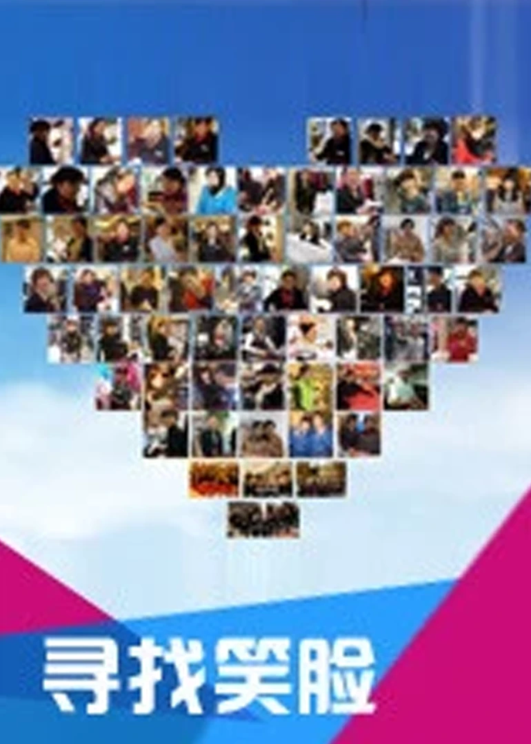 寻找笑脸(2012)海报