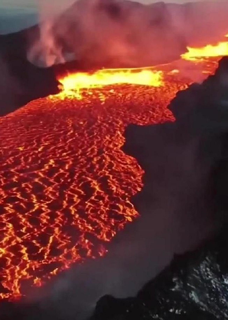 你知道吗火山附近也是有生命的,并且生活的很好海报