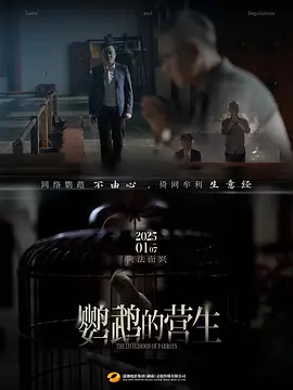 鹦鹉的营生(2025)海报
