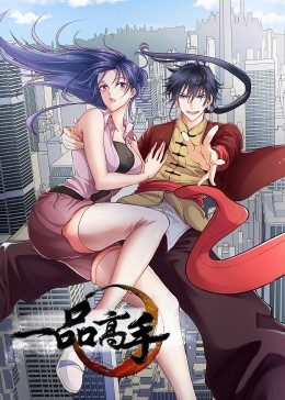 一品高手(2022)海报